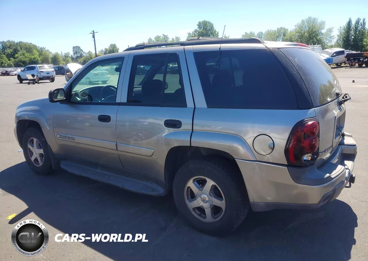 2003 Chevrolet Trailblazer VIN:1GNDT13S232101973 - 2