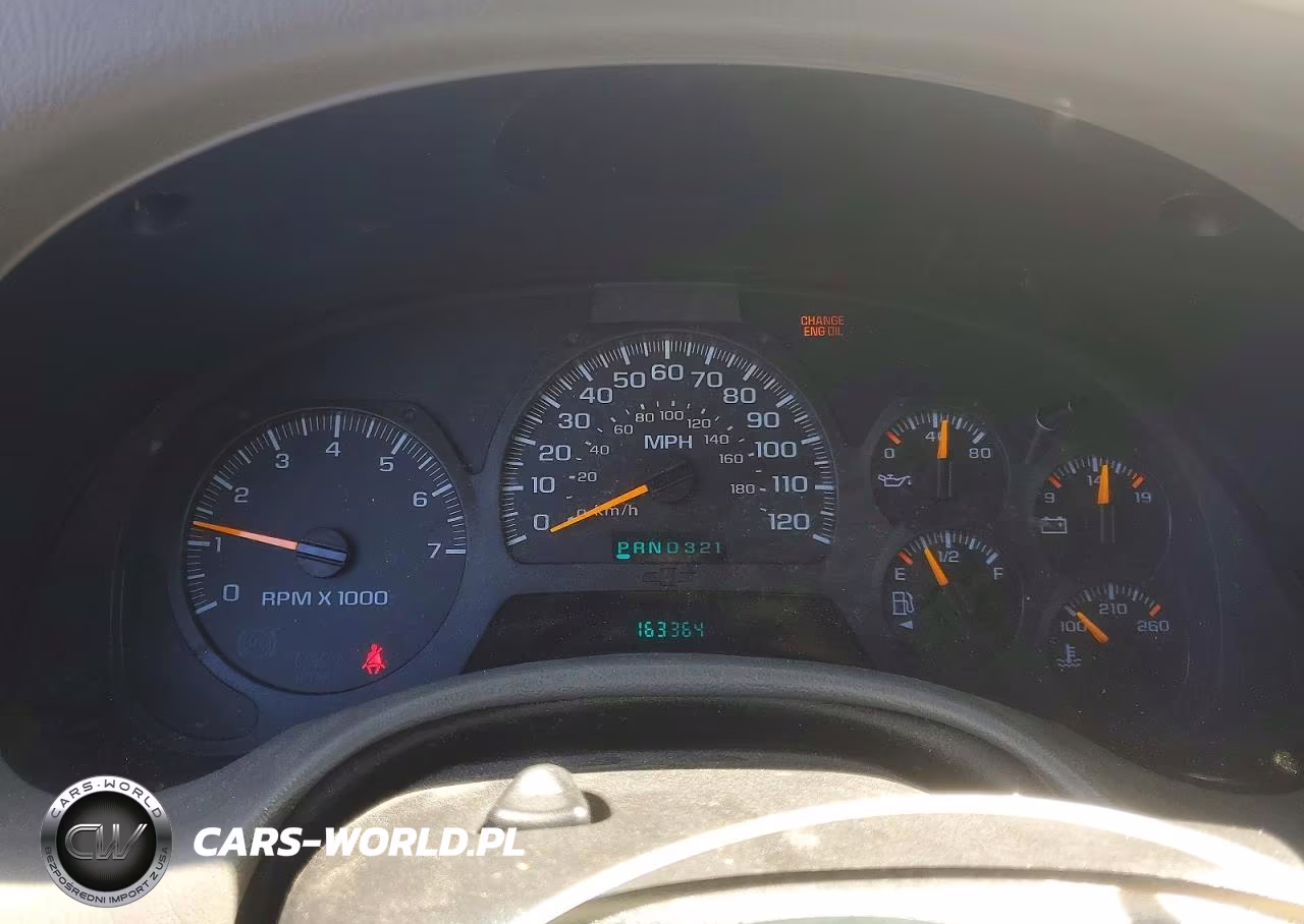 2003 Chevrolet Trailblazer VIN:1GNDT13S232101973 - 9