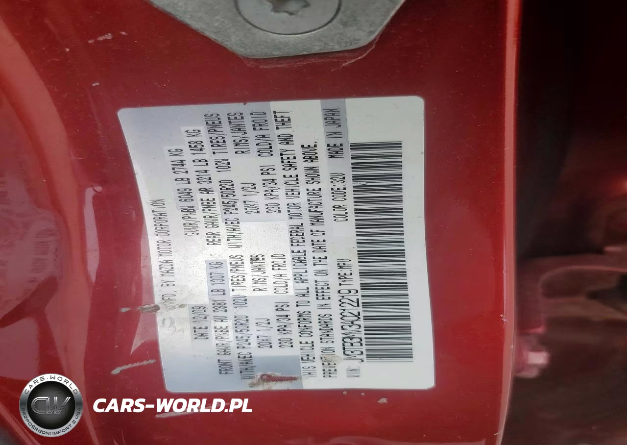 2010 Mazda Cx-9 VIN:JM3TB3MV3A0212219 - 13
