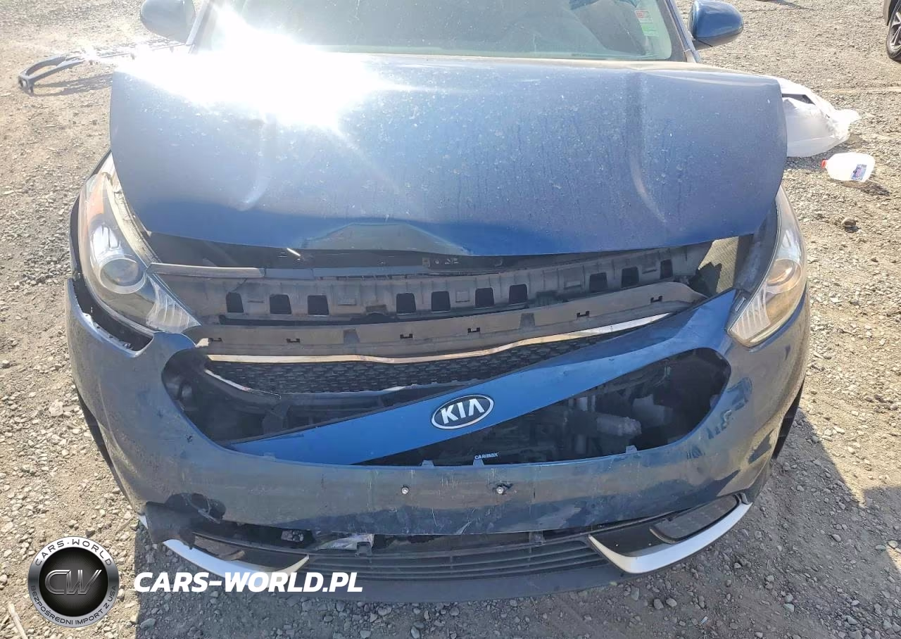 2018 Kia Niro Lx VIN:KNDCB3LC7J5206614 - 12