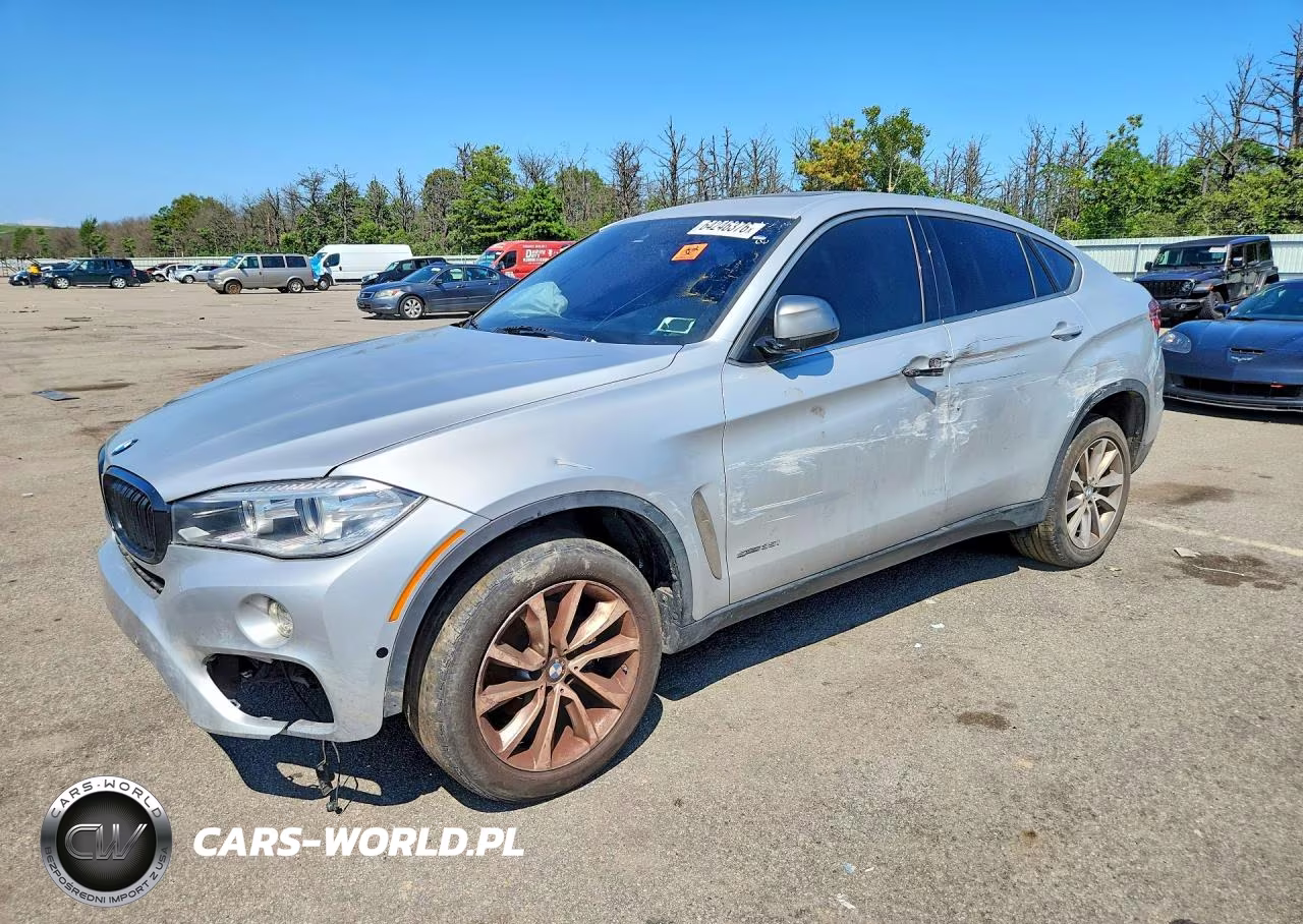 2019 BMW X6 Sdrive35I – zdjęcie 1 z 13