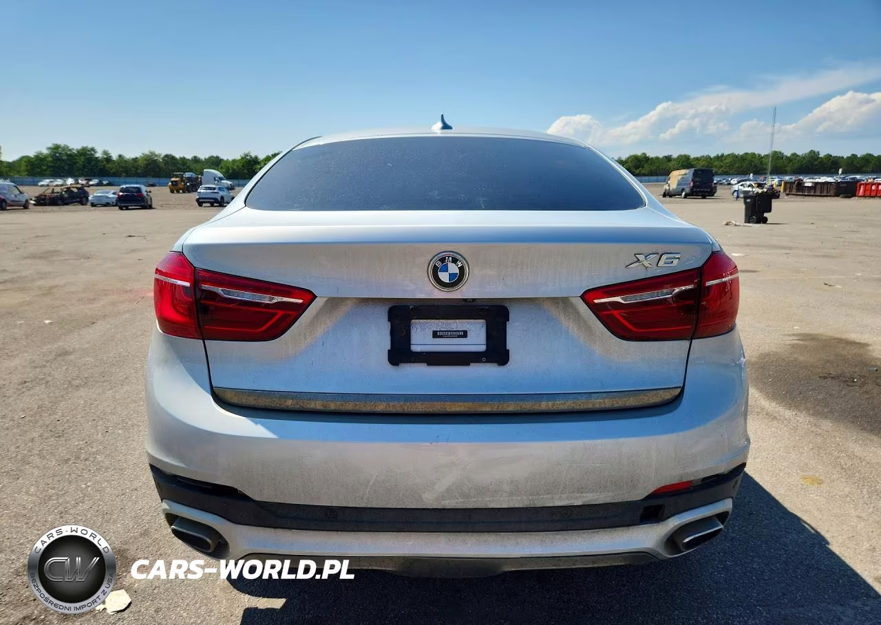 2019 BMW X6 Sdrive35I VIN:5UXKU0C54K0H98947 - 6