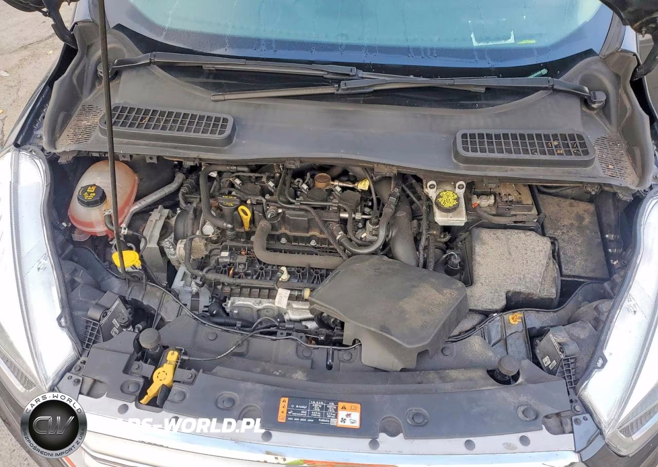 2019 Ford Escape Sel VIN:1FMCU9HDXKUA84560 - 11