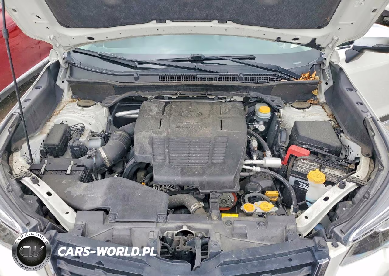 2019 Subaru Forester Touring VIN:JF2SKAWC1KH472076 - 12