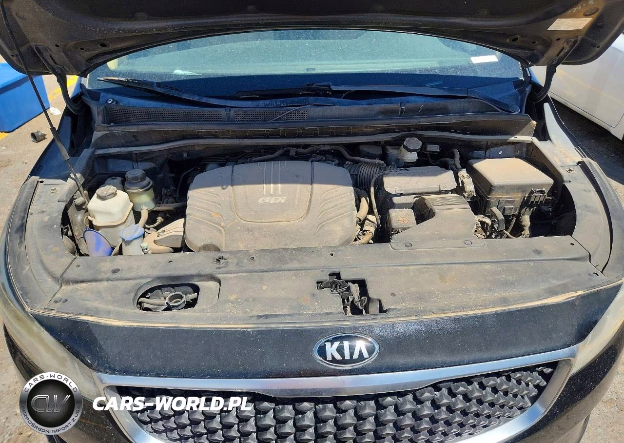2016 Kia Sedona Lx VIN:KNDMB5C14G6088507 - 12