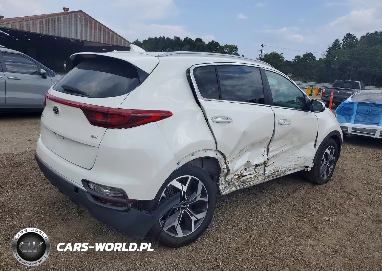 2021 Kia Sportage Ex VIN:KNDPN3AC4M7846929 - 3