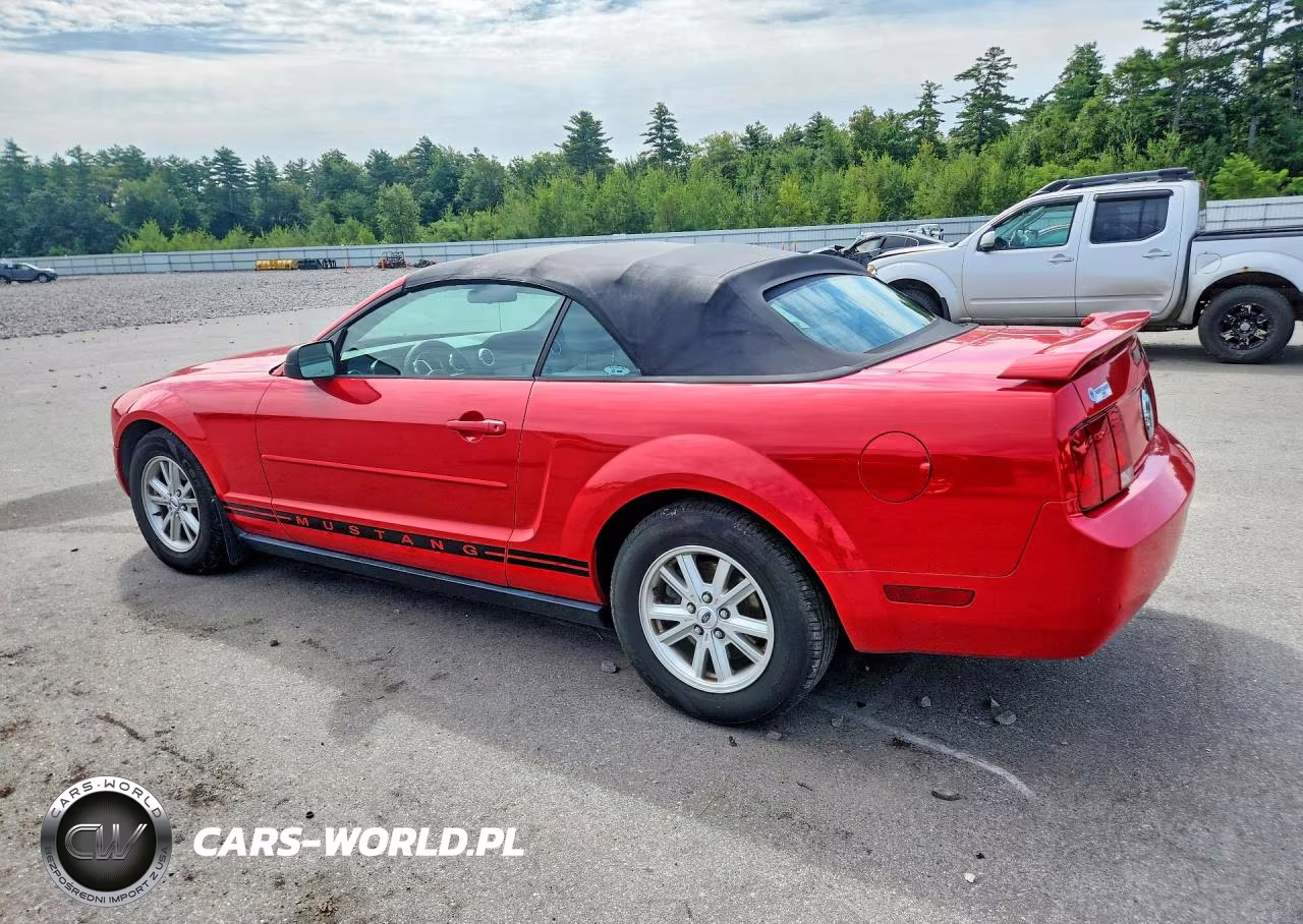 2005 Ford Mustang VIN:1ZVFT84N455216432 - 2