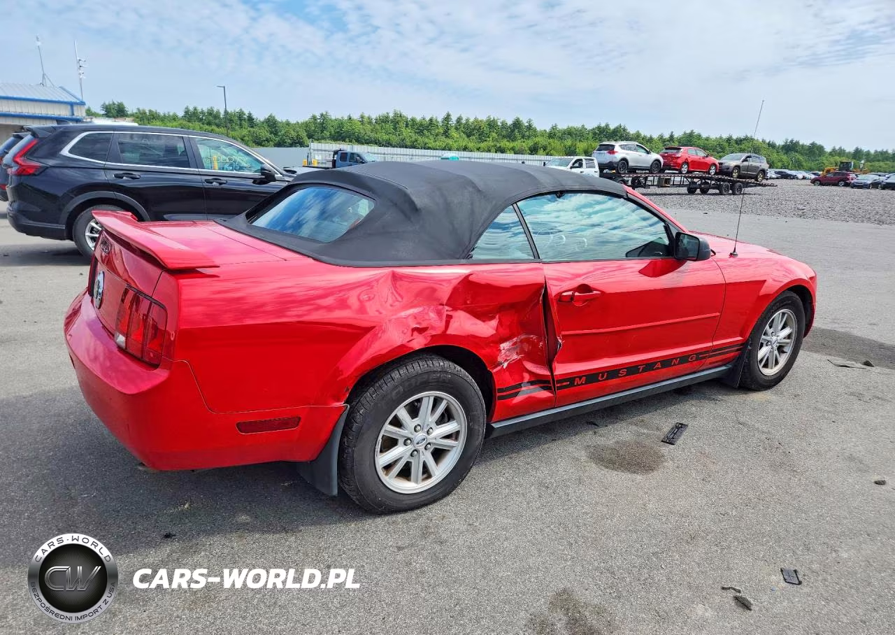 2005 Ford Mustang VIN:1ZVFT84N455216432 - 3