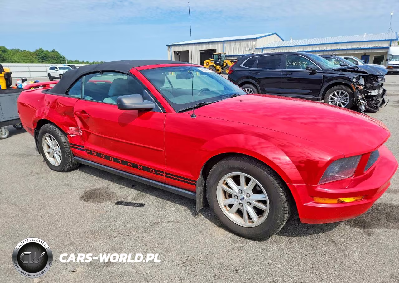 2005 Ford Mustang VIN:1ZVFT84N455216432 - 4