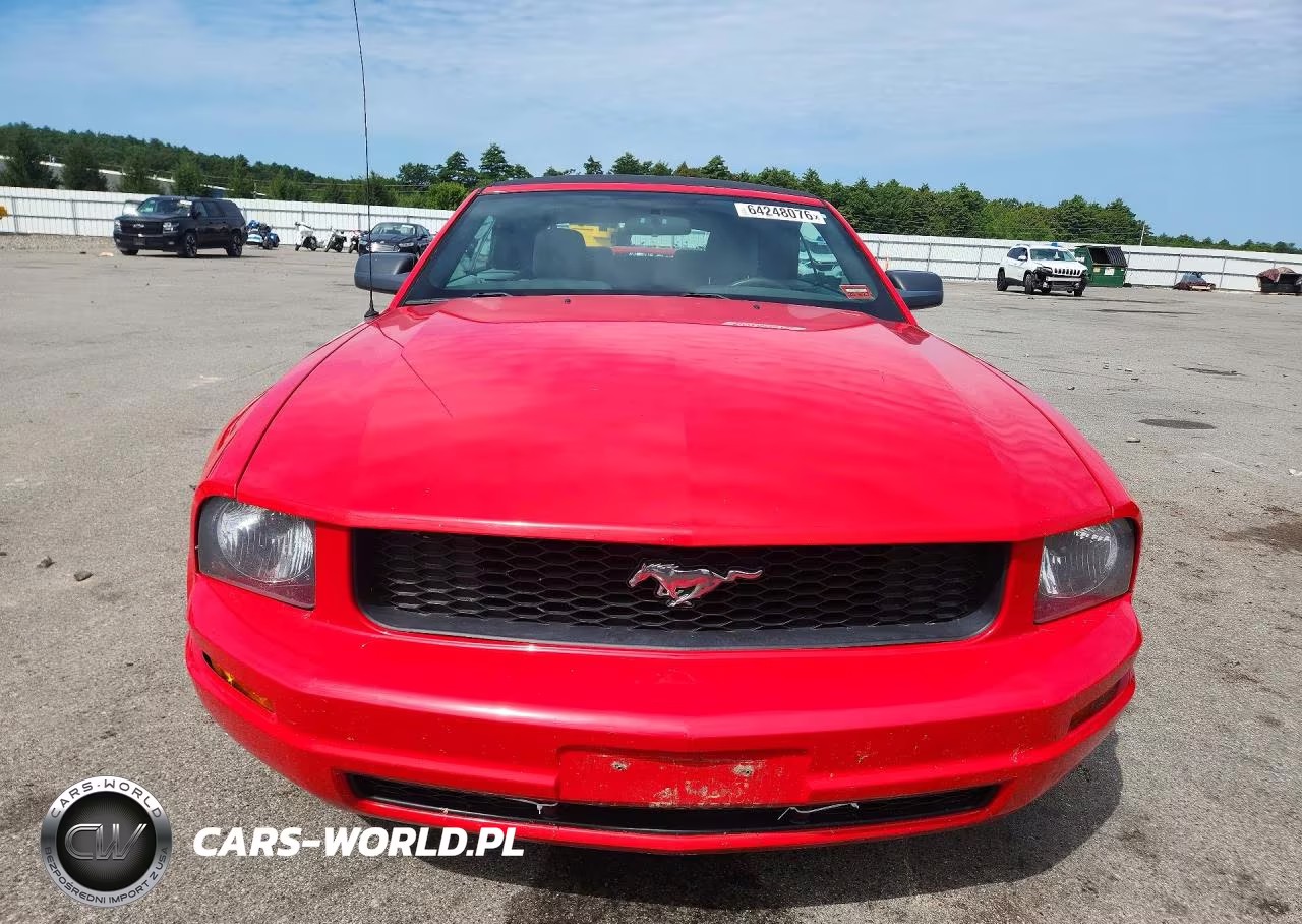2005 Ford Mustang VIN:1ZVFT84N455216432 - 5