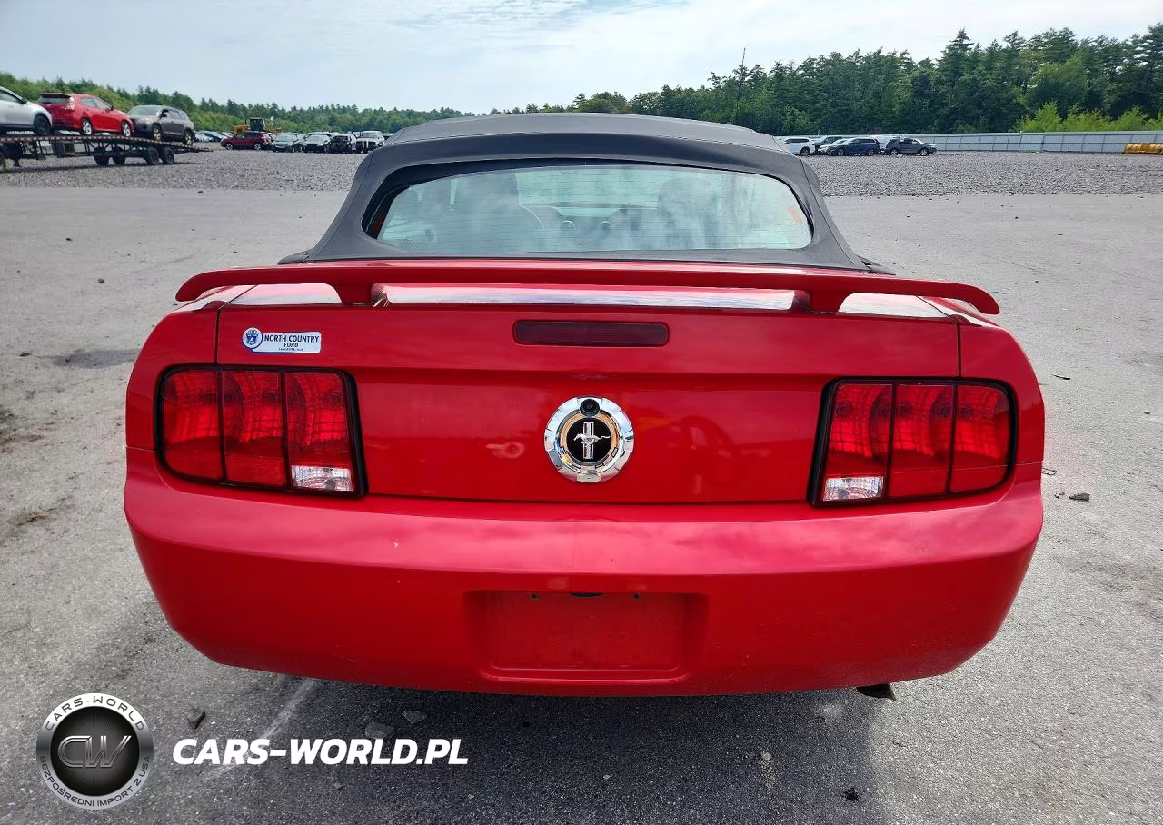 2005 Ford Mustang VIN:1ZVFT84N455216432 - 6