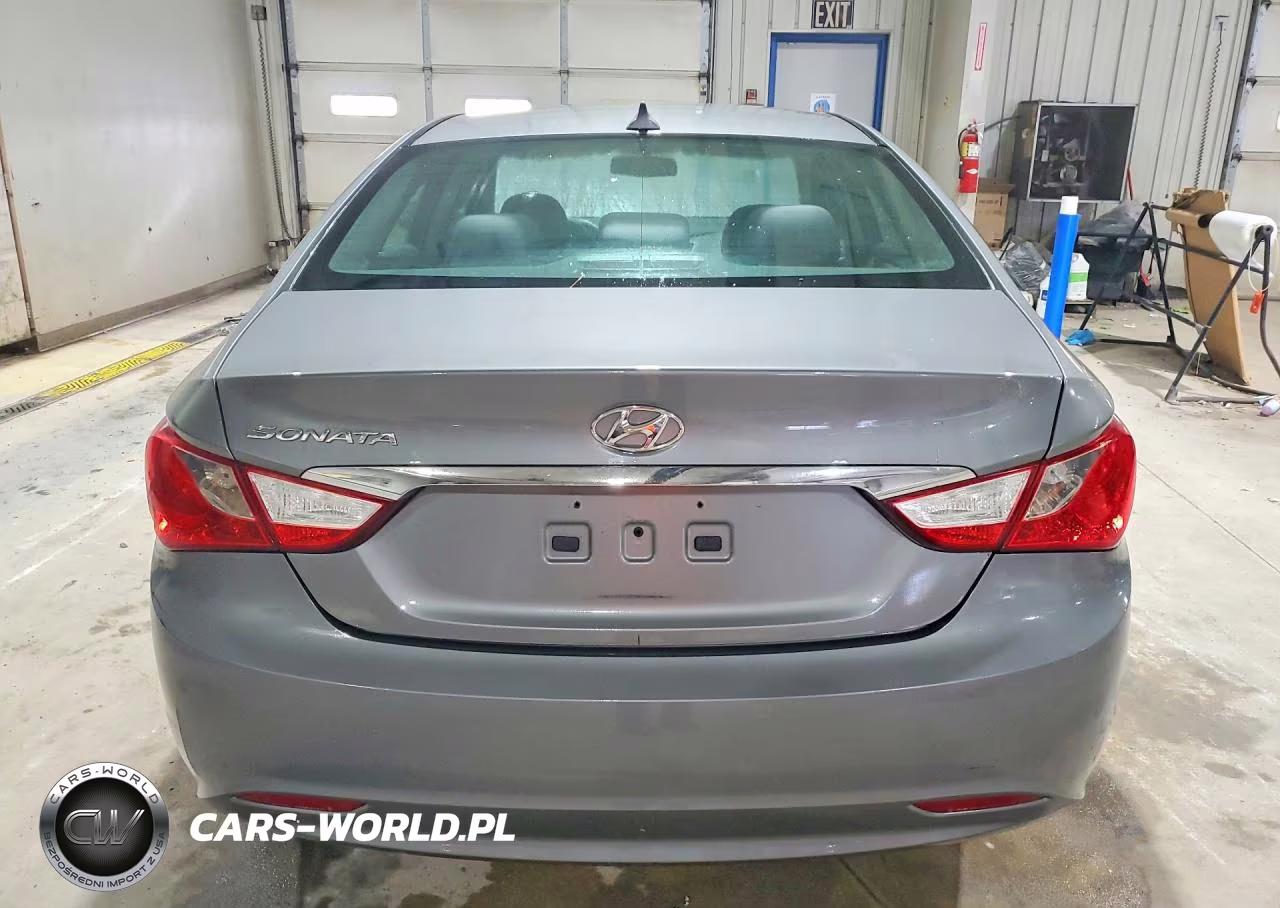 2013 Hyundai Sonata Gls VIN:5NPEB4AC6DH620862 - 6