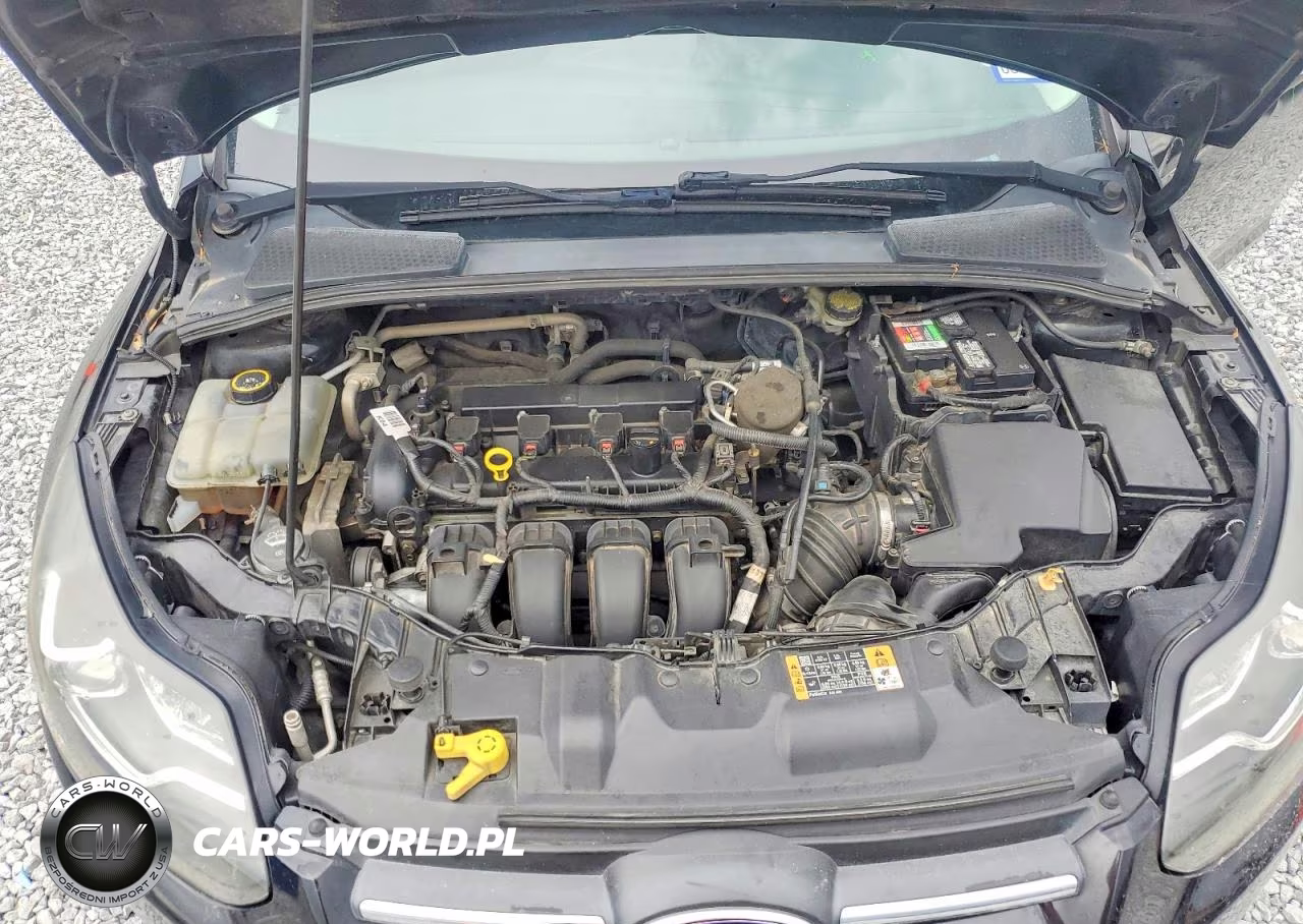 2014 Ford Focus Se VIN:1FADP3F22EL447674 - 11