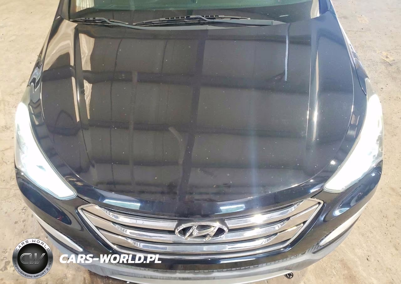 2013 Hyundai Santa Fe Sport 2.0T VIN:5XYZUDLA8DG119891 - 12