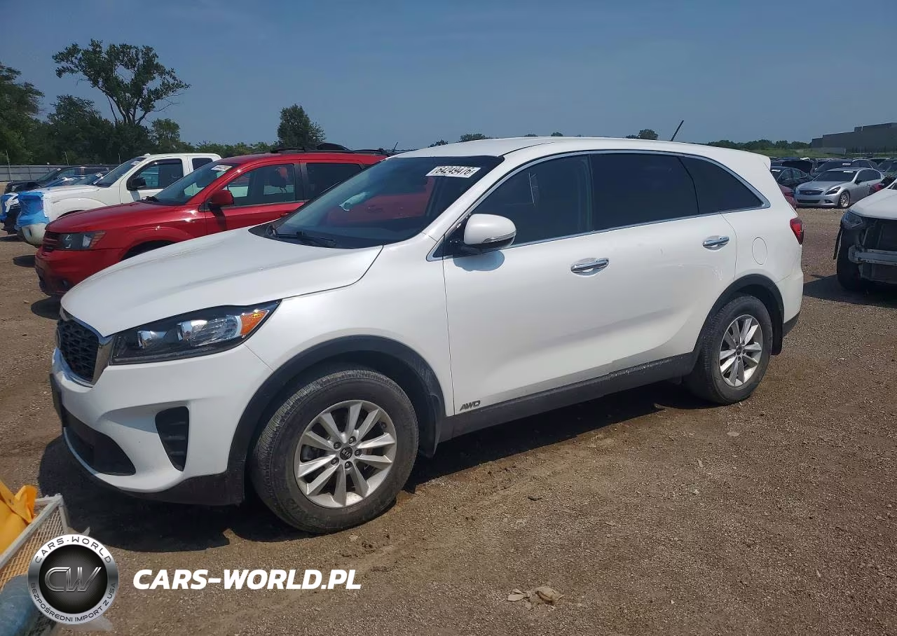 2019 Kia Sorento Lx VIN:5XYPGDA31KG438890 - 1