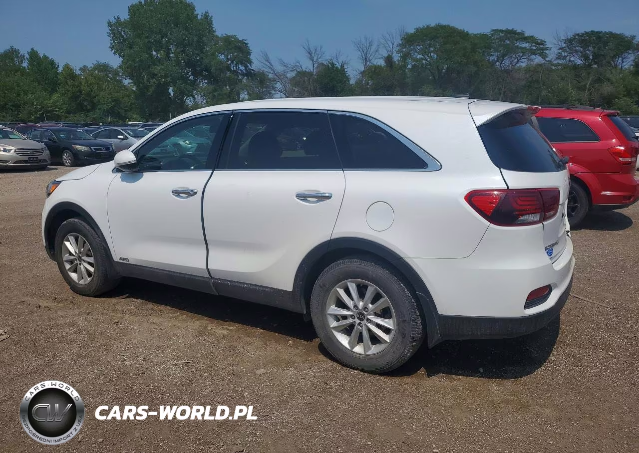 2019 Kia Sorento Lx VIN:5XYPGDA31KG438890 - 2