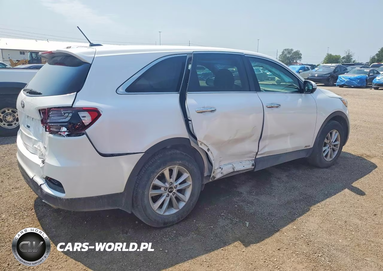 2019 Kia Sorento Lx VIN:5XYPGDA31KG438890 - 3