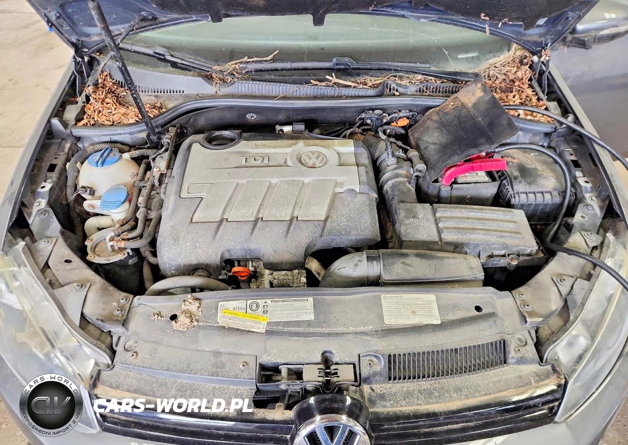 2013 Volkswagen Golf VIN:WVWDM7AJ1DW019777 - 12