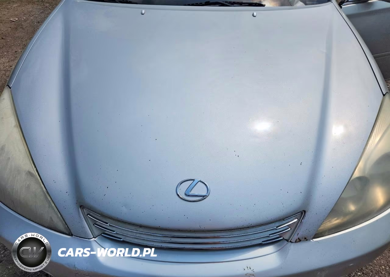 2003 Lexus Es 300 VIN:JTHBF30GX30125158 - 11