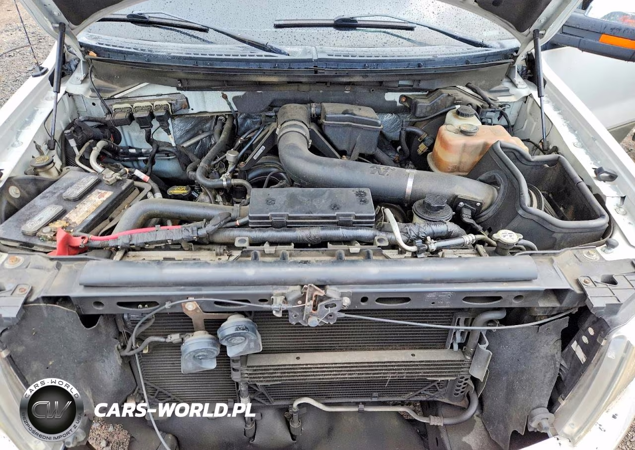 2010 Ford F150 Supercrew VIN:1FTFW1EV2AKB47686 - 11