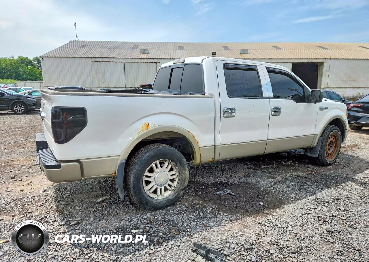 2010 Ford F150 Supercrew VIN:1FTFW1EV2AKB47686 - 3