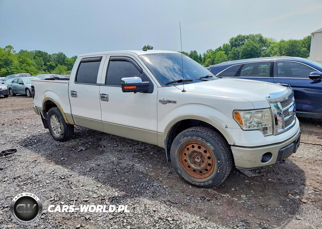 2010 Ford F150 Supercrew VIN:1FTFW1EV2AKB47686 - 4
