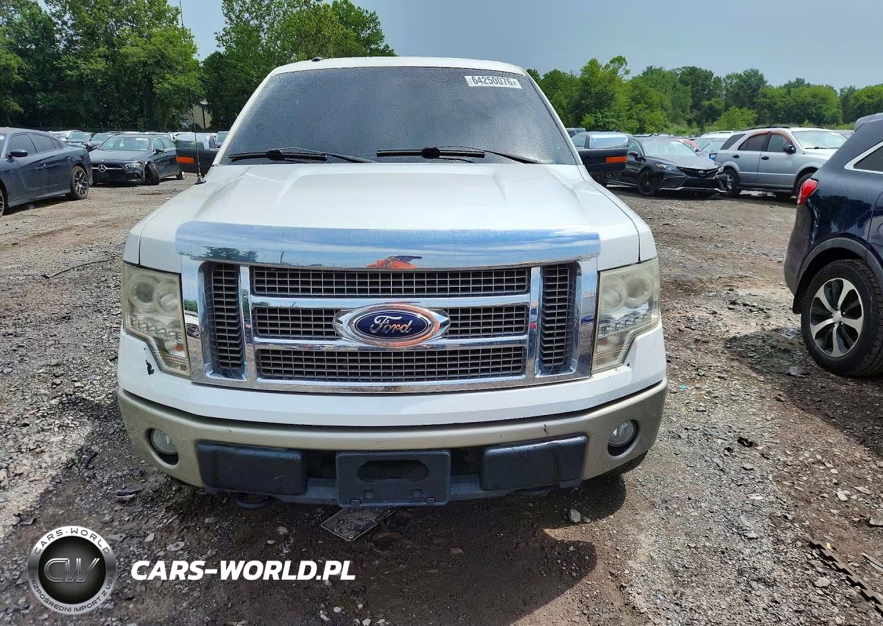 2010 Ford F150 Supercrew VIN:1FTFW1EV2AKB47686 - 5