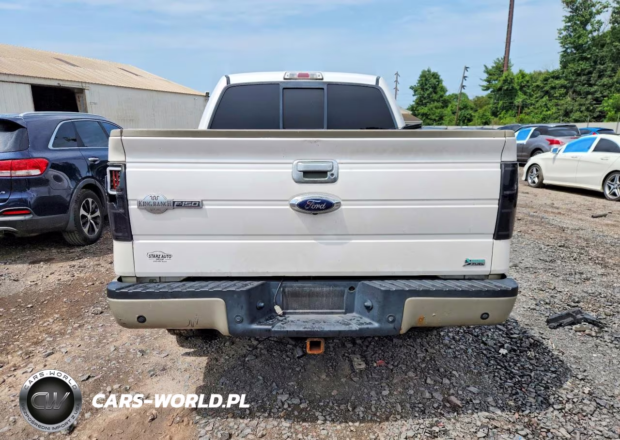 2010 Ford F150 Supercrew VIN:1FTFW1EV2AKB47686 - 6