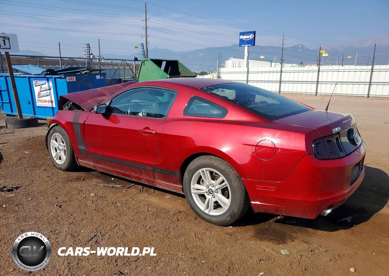 2014 Ford Mustang VIN:1ZVBP8AM1E5306362 - 2