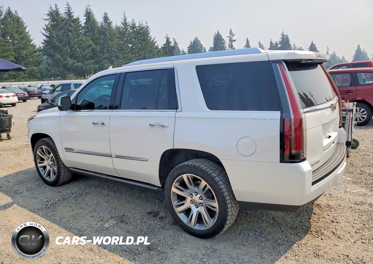 2016 Cadillac Escalade Premium VIN:1GYS3CKJ6GR146054 - 2
