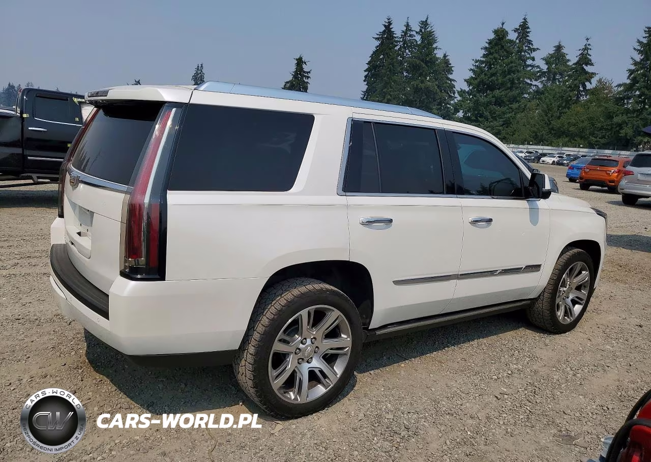 2016 Cadillac Escalade Premium VIN:1GYS3CKJ6GR146054 - 3