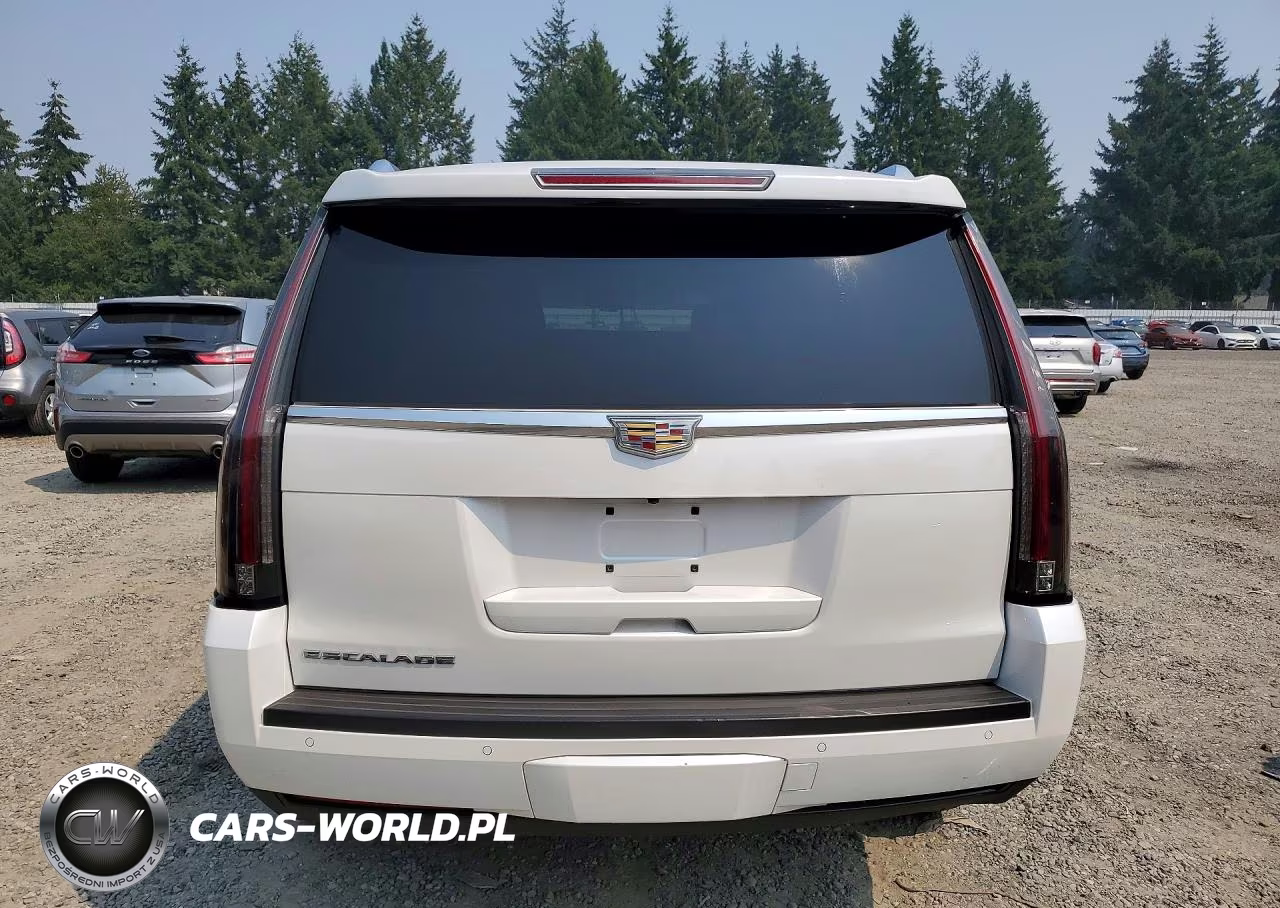 2016 Cadillac Escalade Premium VIN:1GYS3CKJ6GR146054 - 6