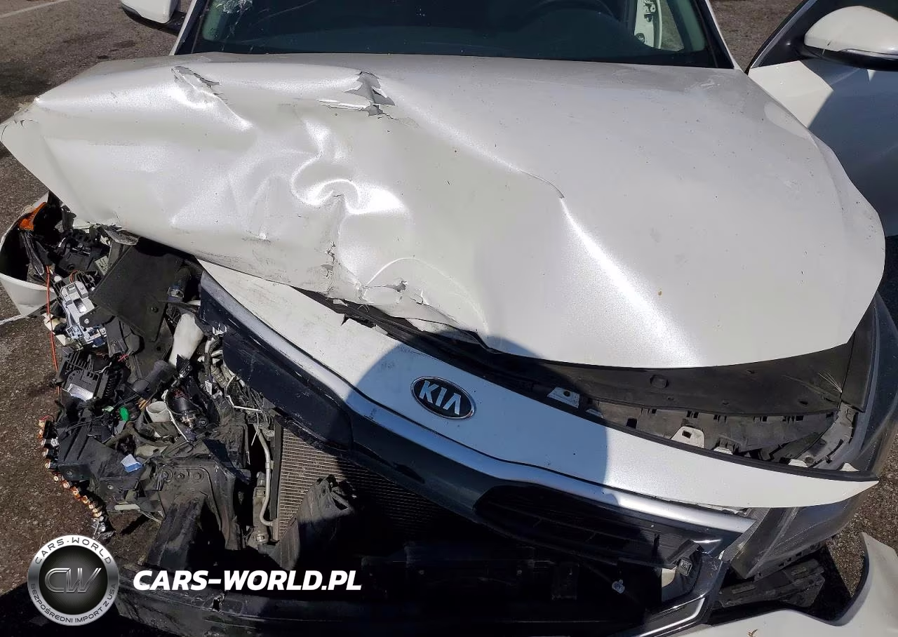 2017 Kia Optima Hybrid Ex VIN:KNAGU4LC1H5007700 - 11