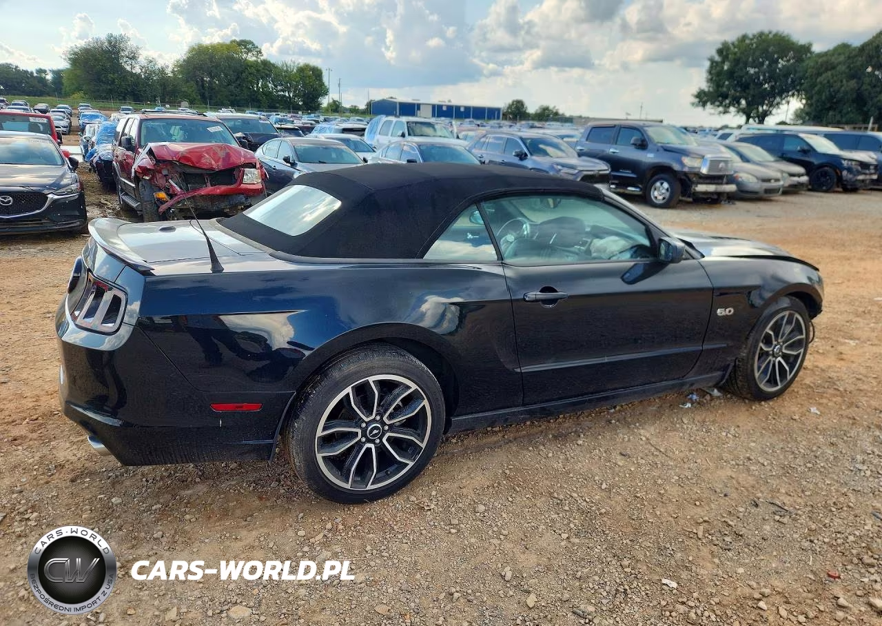 2014 Ford Mustang Gt VIN:1ZVBP8FF8E5332919 - 3