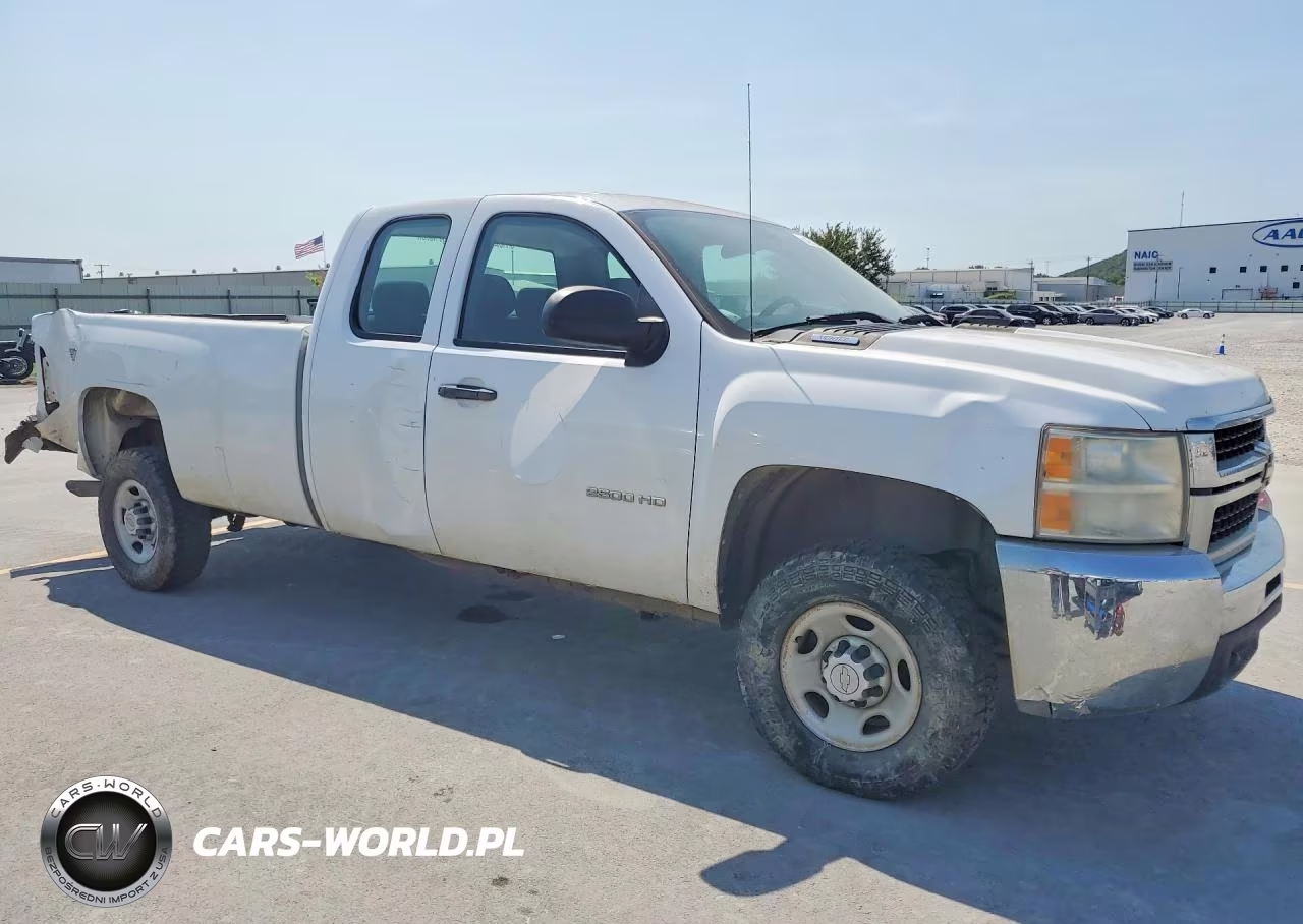2010 Chevrolet Silverado K2500 Heavy Duty VIN:1GC5KVBG9AZ251653 - 4