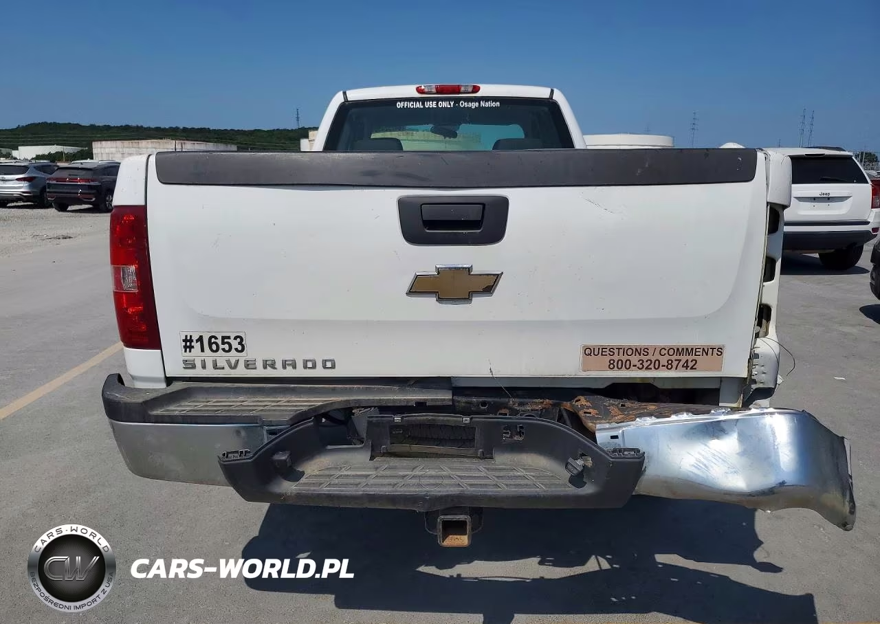 2010 Chevrolet Silverado K2500 Heavy Duty VIN:1GC5KVBG9AZ251653 - 6