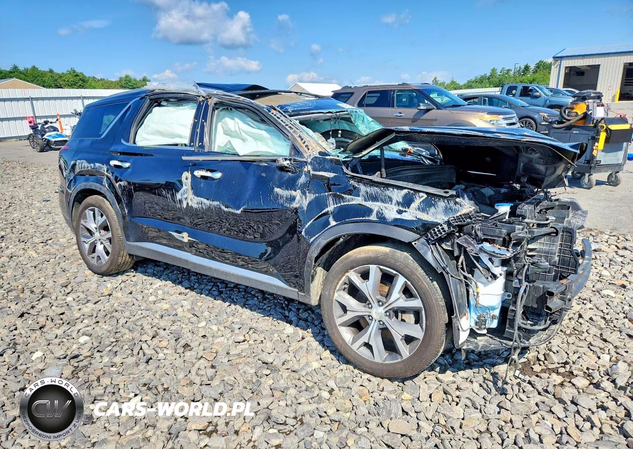 2022 Hyundai Palisade Sel VIN:KM8R4DHE6NU350117 - 4
