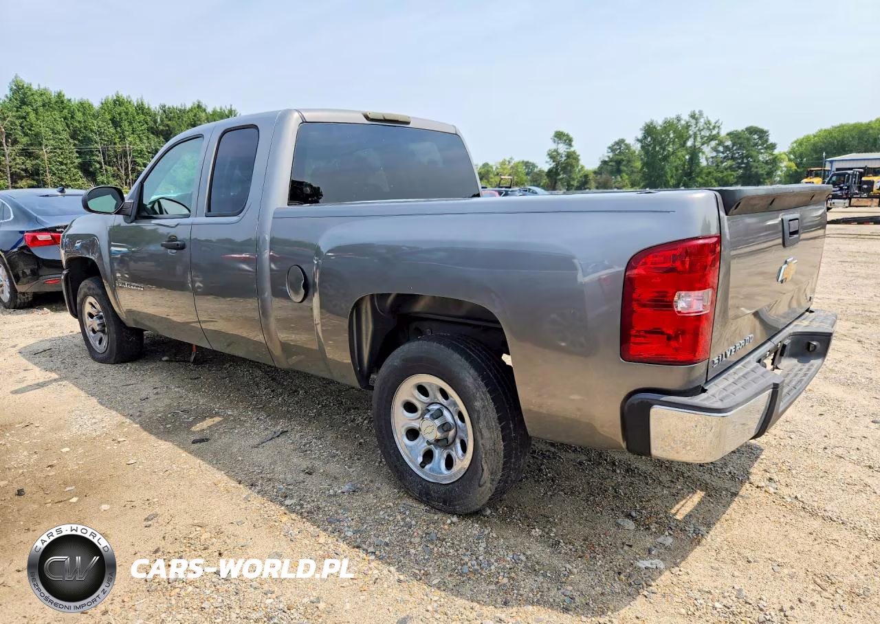 2009 Chevrolet Silverado C1500 VIN:1GCEC19X19Z101608 - 2