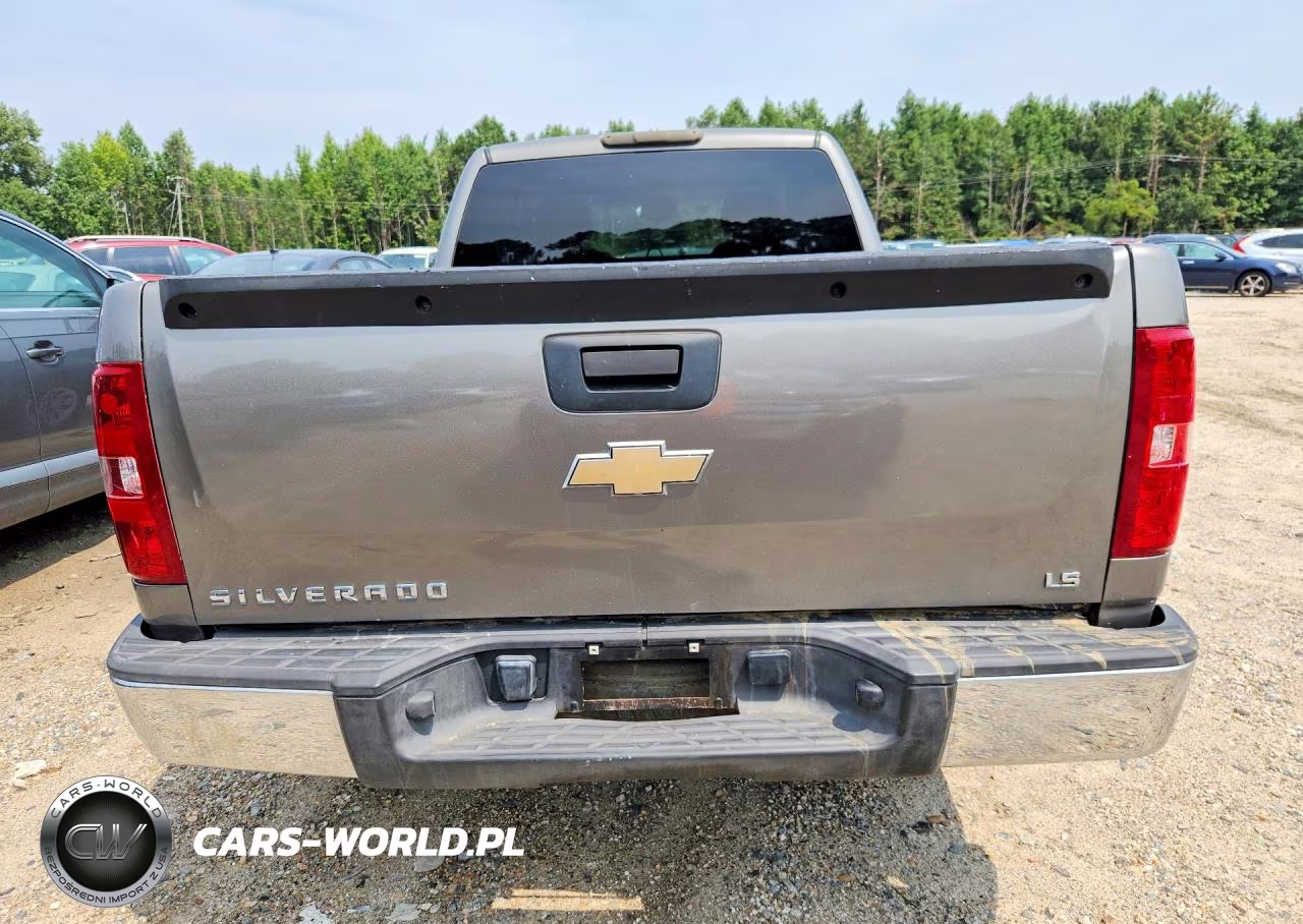 2009 Chevrolet Silverado C1500 VIN:1GCEC19X19Z101608 - 6