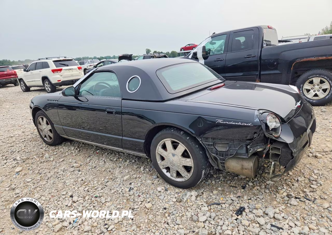 2002 Ford Thunderbird VIN:1FAHP60A12Y124816 - 2