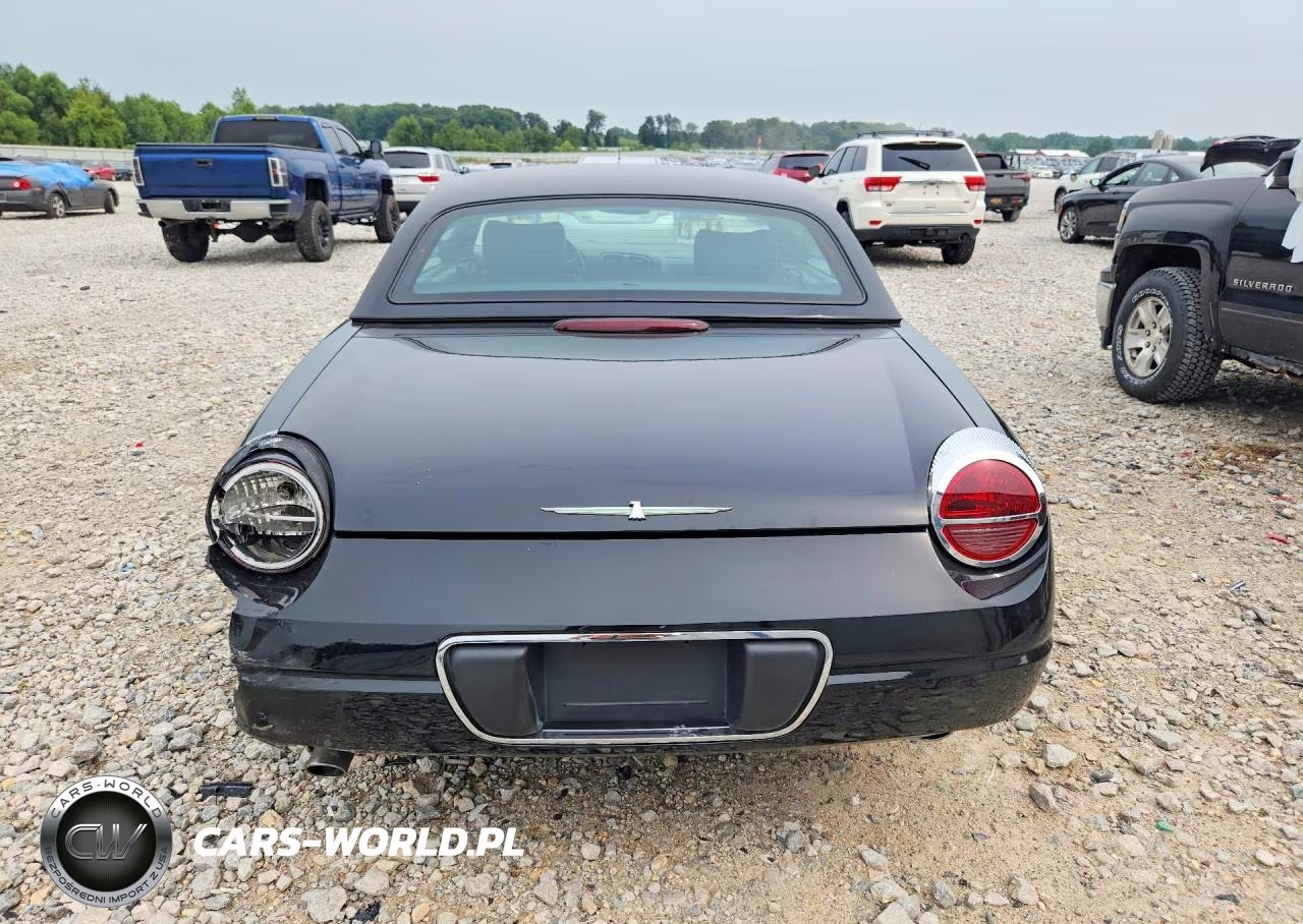 2002 Ford Thunderbird VIN:1FAHP60A12Y124816 - 6