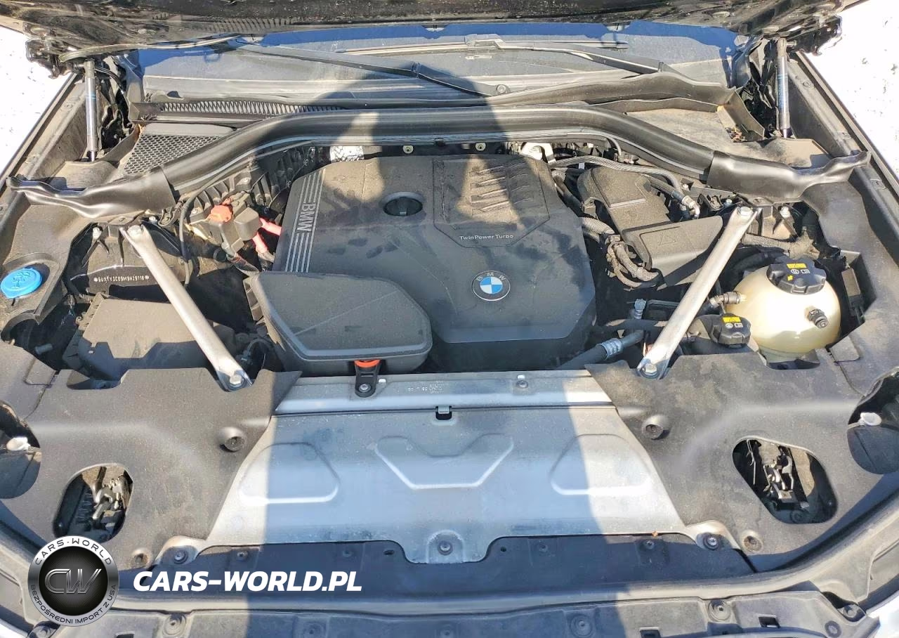 2021 BMW X3 Sdrive30I VIN:5UXTY3C09M9H29118 - 12