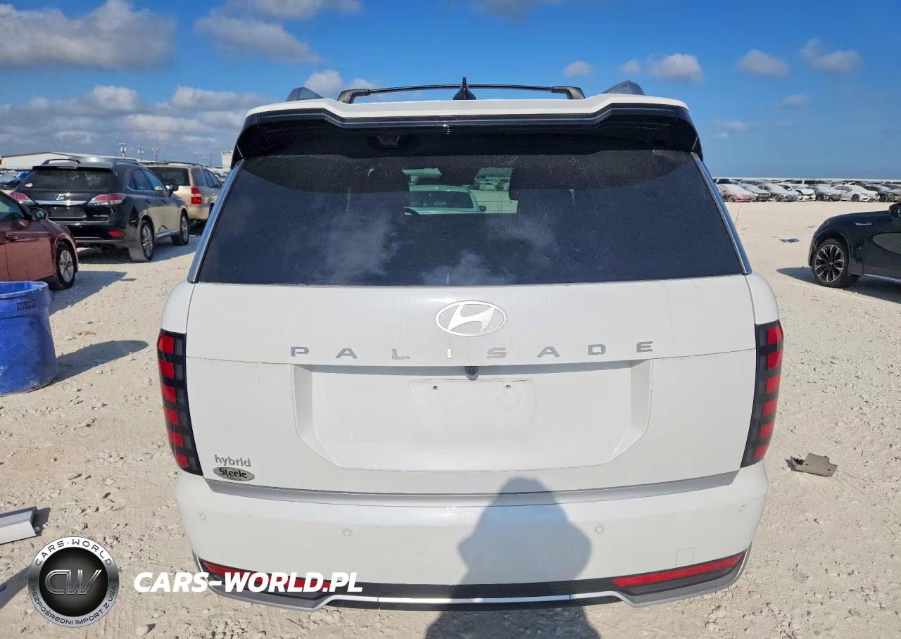 2026 Hyundai Palisade Calligraphy VIN:KM8RM5SA9TU068515 - 6