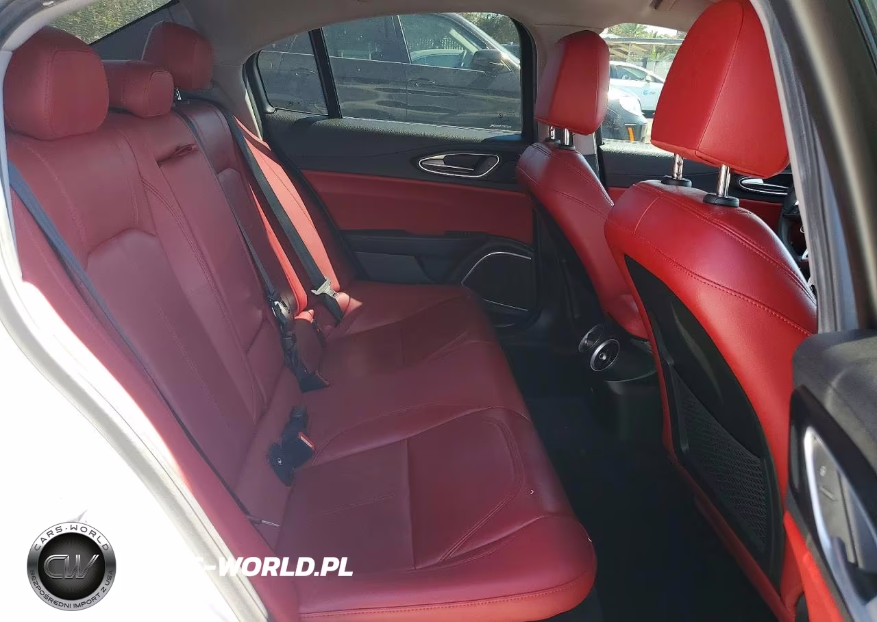 2020 Alfa Romeo Giulia VIN:ZARFAMAN4L7634289 - 10