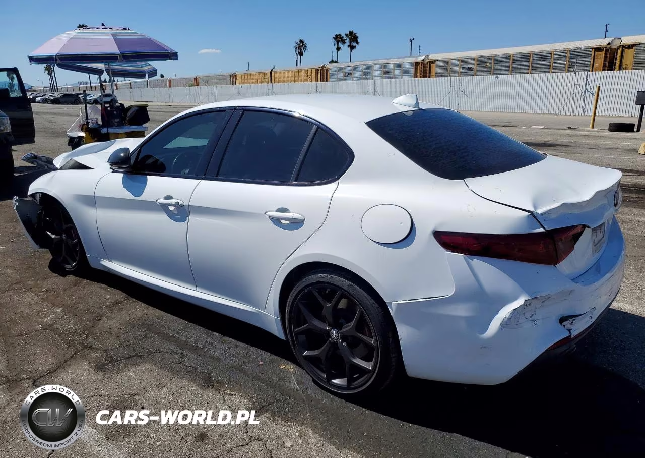 2020 Alfa Romeo Giulia VIN:ZARFAMAN4L7634289 - 2