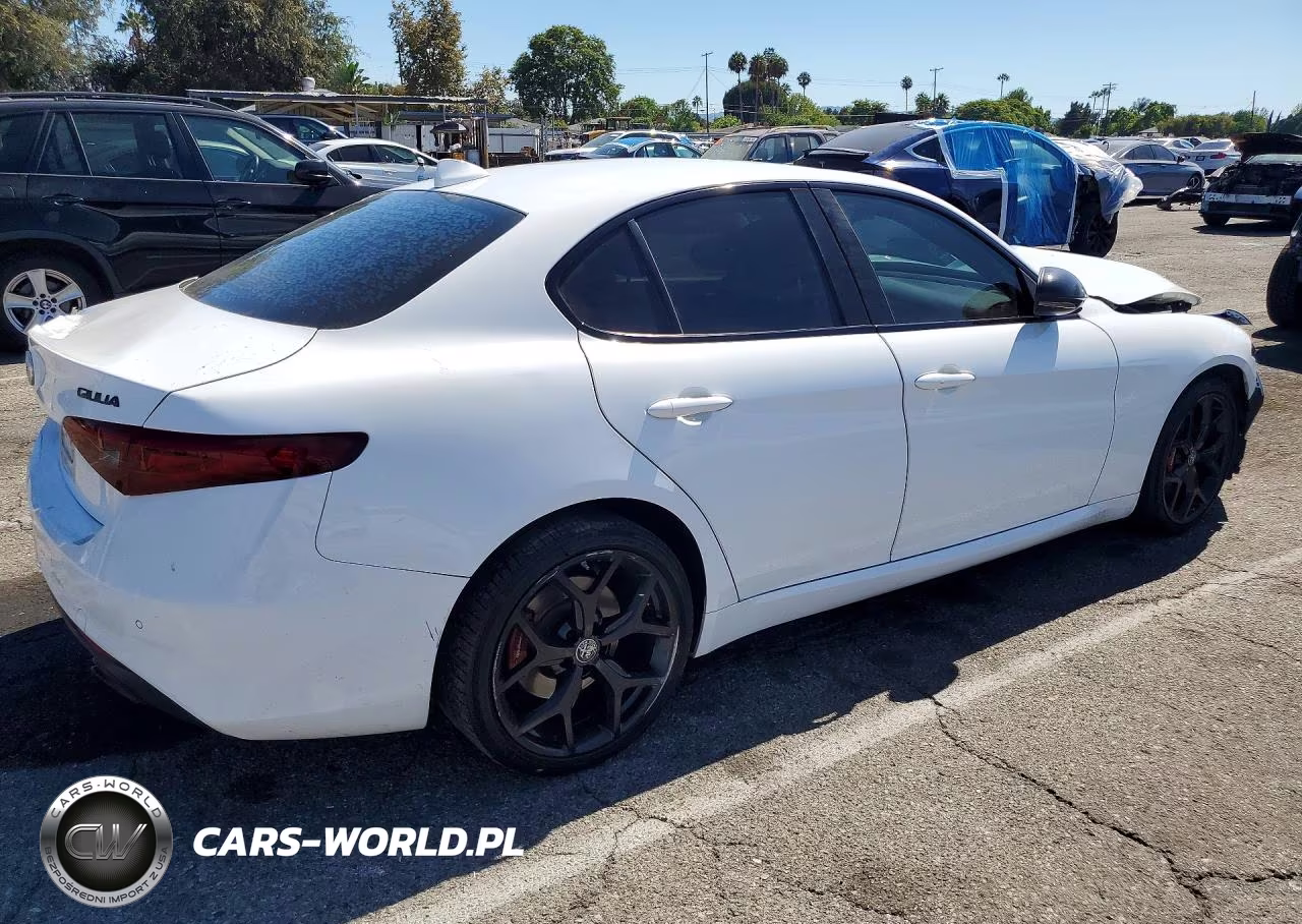 2020 Alfa Romeo Giulia VIN:ZARFAMAN4L7634289 - 3