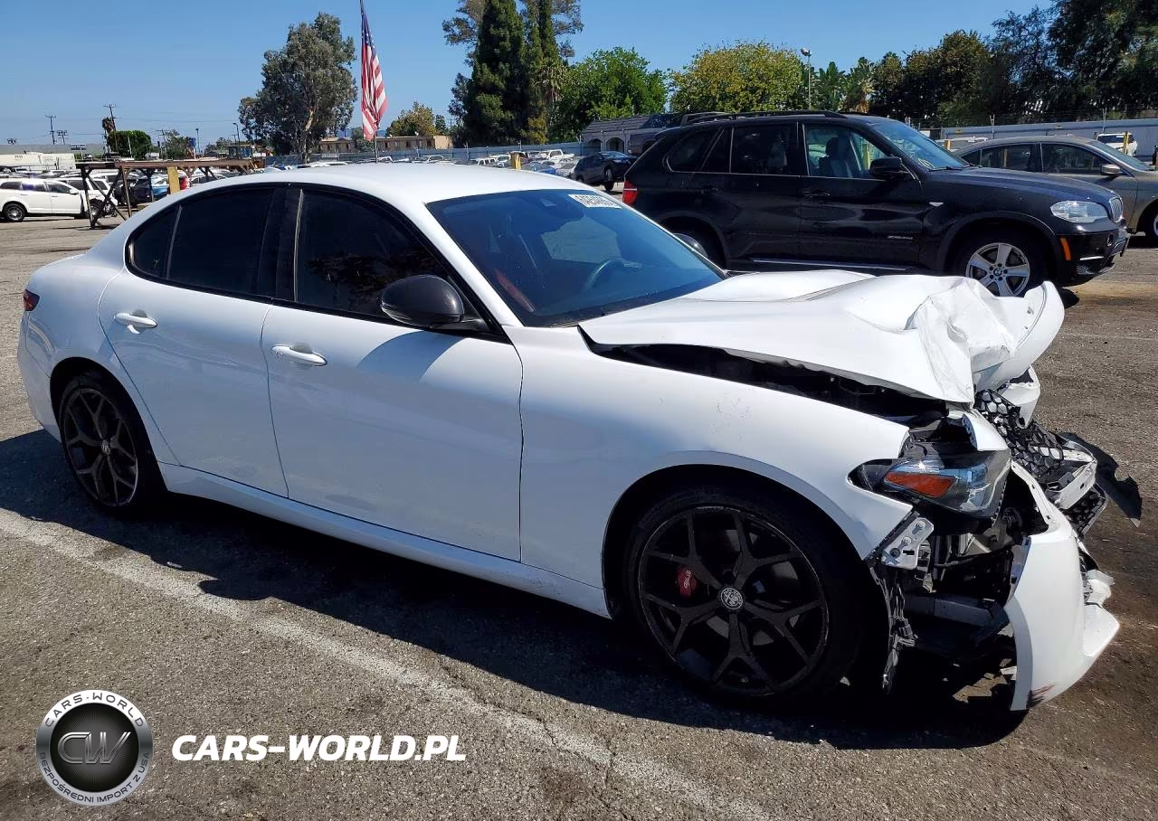 2020 Alfa Romeo Giulia VIN:ZARFAMAN4L7634289 - 4