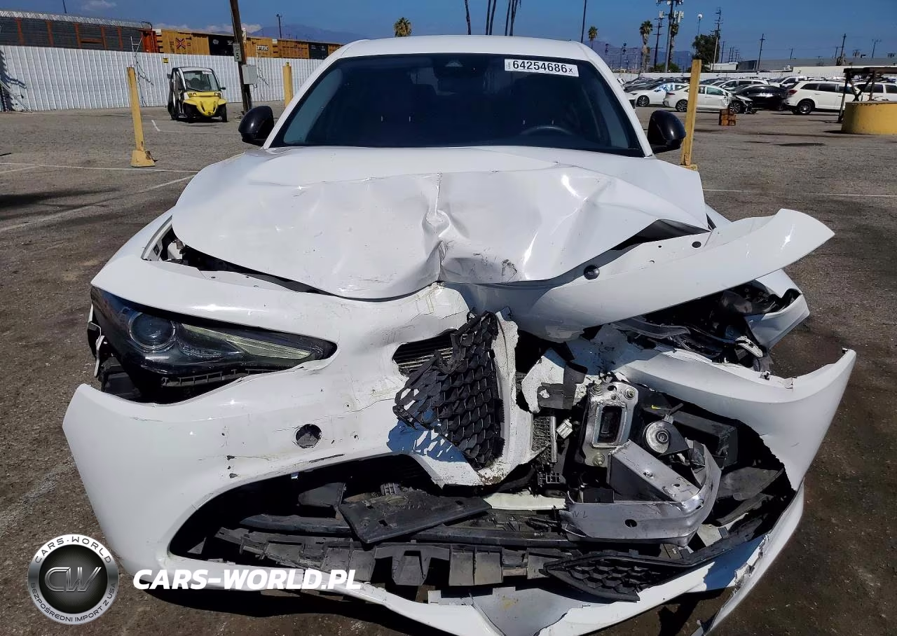 2020 Alfa Romeo Giulia VIN:ZARFAMAN4L7634289 - 5