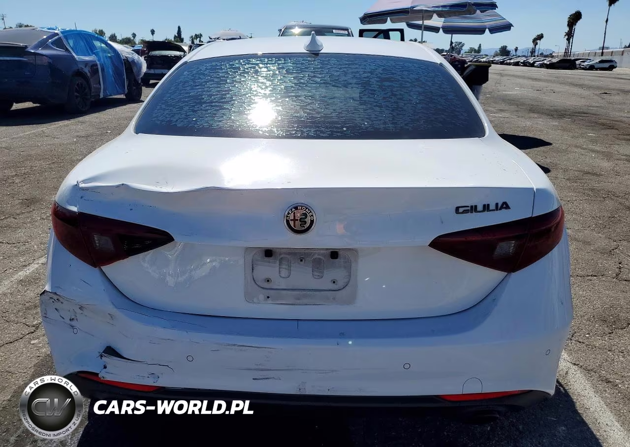 2020 Alfa Romeo Giulia VIN:ZARFAMAN4L7634289 - 6