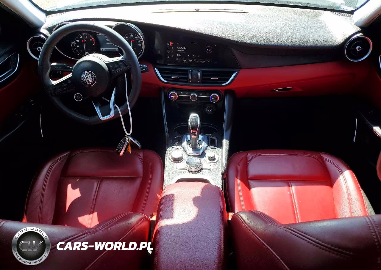 2020 Alfa Romeo Giulia VIN:ZARFAMAN4L7634289 - 8